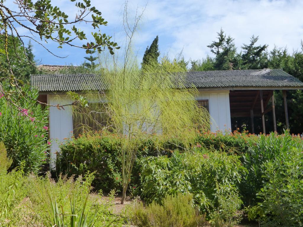 Ha Mar Ao Luar Hotel Setubal Bagian luar foto